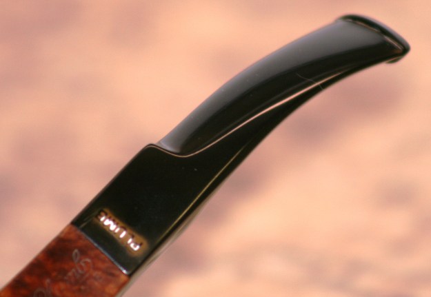 Dr_Plumb_Fin_DSLR_Crop 4