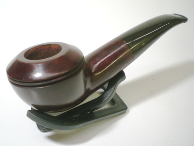 Dorset_Rhodesian (10)