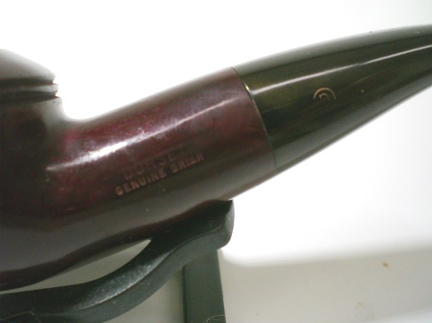 Dorset_Rhodesian (11)