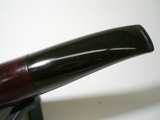 Dorset_Rhodesian (12)