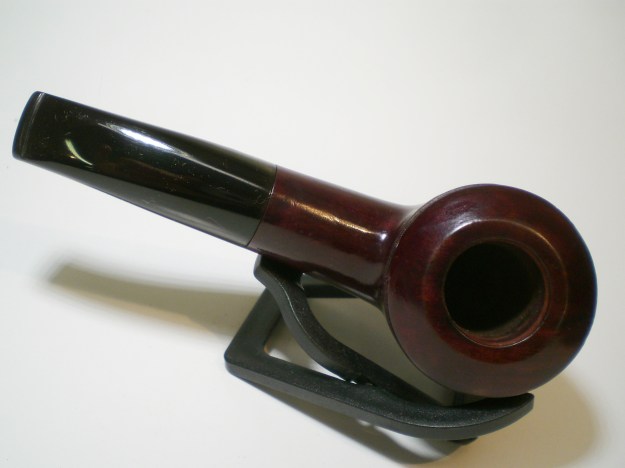 Dorset_Rhodesian (14)