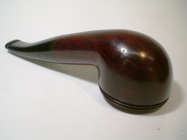 Dorset_Rhodesian (15)