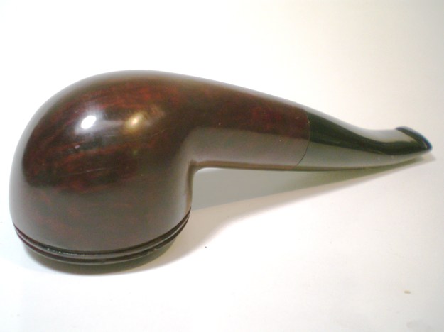 Dorset_Rhodesian (16)