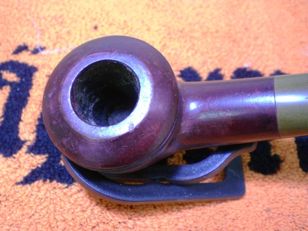 Dorset_Rhodesian (2)