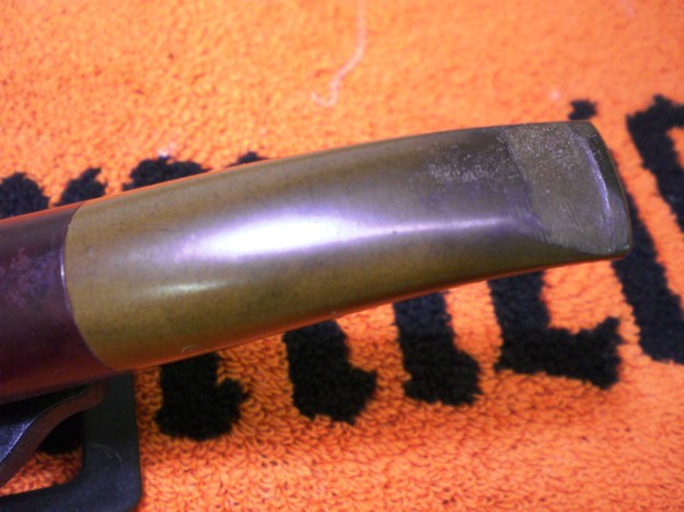 Dorset_Rhodesian (3)