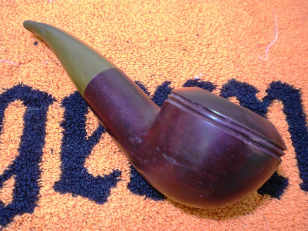 Dorset_Rhodesian (5)