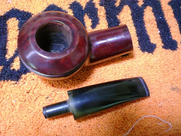 Dorset_Rhodesian (6)