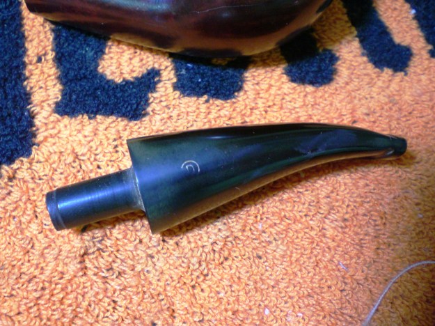 Dorset_Rhodesian (8)