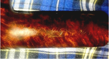 Eug. Ropp signature, underlined