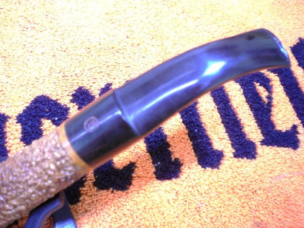 James_Upshall_Bark_Before (1)