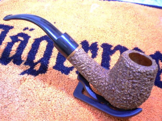 James_Upshall_Bark_Before (3)