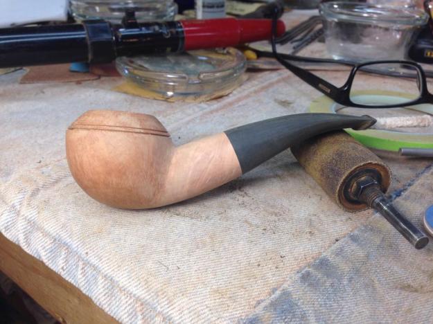 Royal_Oak_Briars_Rhodiesian - 4