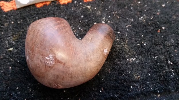 Peterson_314_Before (9)