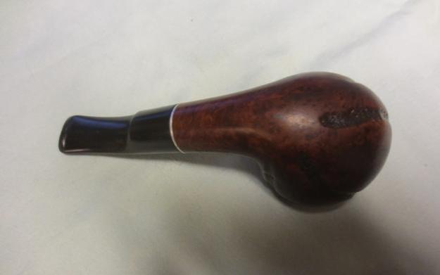 Briar38
