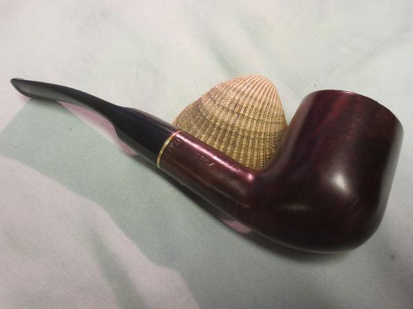Briar29