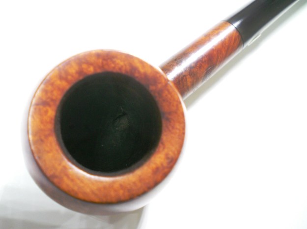 GBD_357_Pedigree_Finish (4)