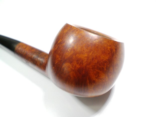 GBD_357_Pedigree_Finish (6)