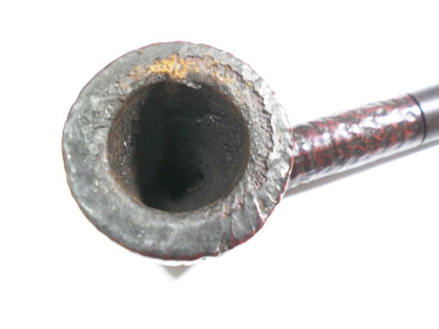 sasieni_moorgate_s_ruff-root_before-3