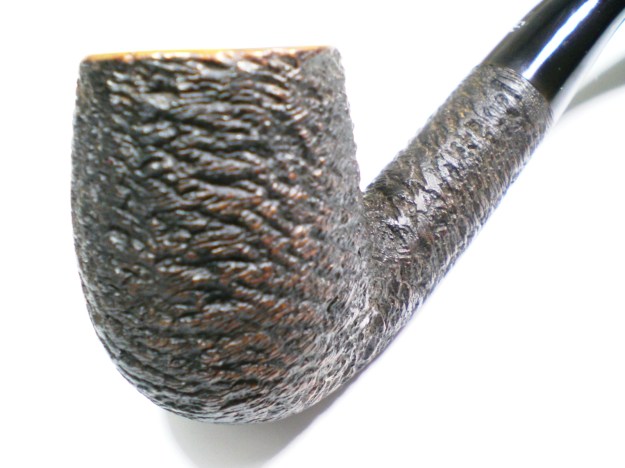 sashar_959r_finish-2