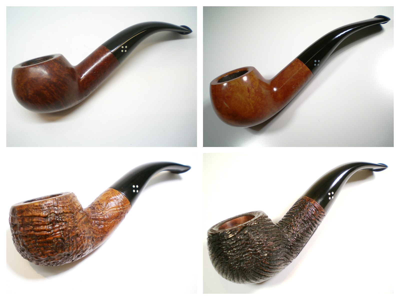 Sasieni_Ashford_Collage